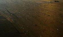 河北桃城爆料案件最新,揭秘背后惊人真相