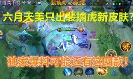 菜小鸟最新爆料,最新爆料背后的惊人真相